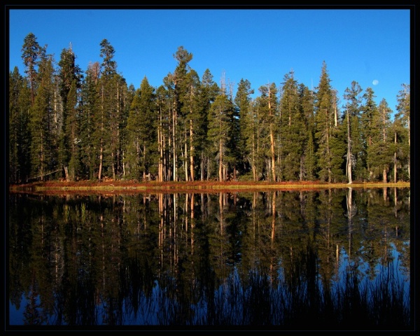 Mirrored Lake