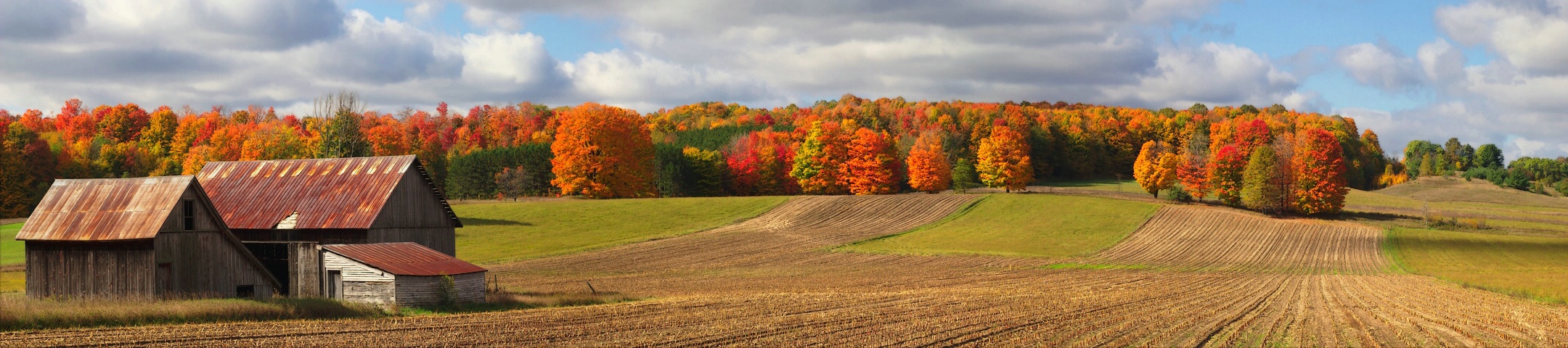 Autumn Farm Panoramic