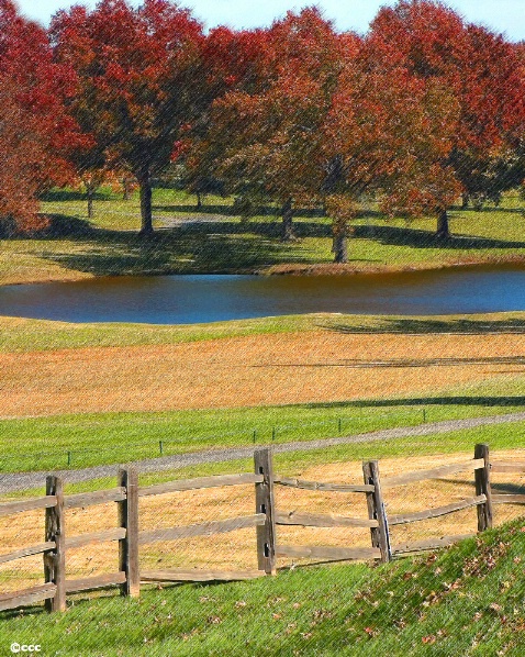 There Was a Crooked Fence