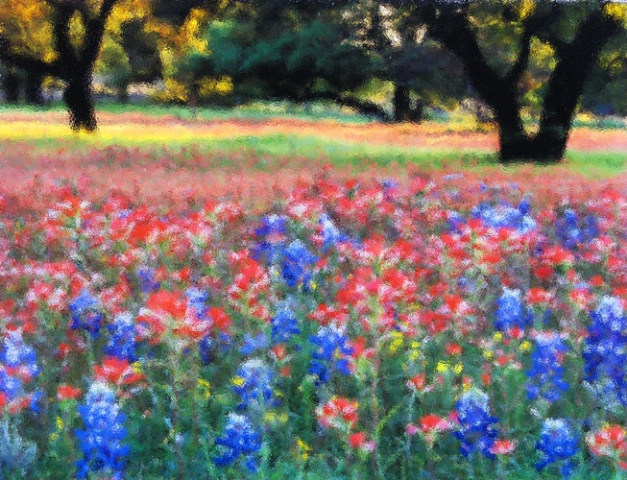 Texas Hill Country Color - Diffusion Glass