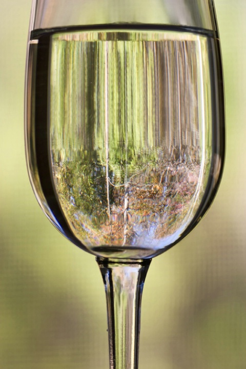 Forest in a Wineglass #2