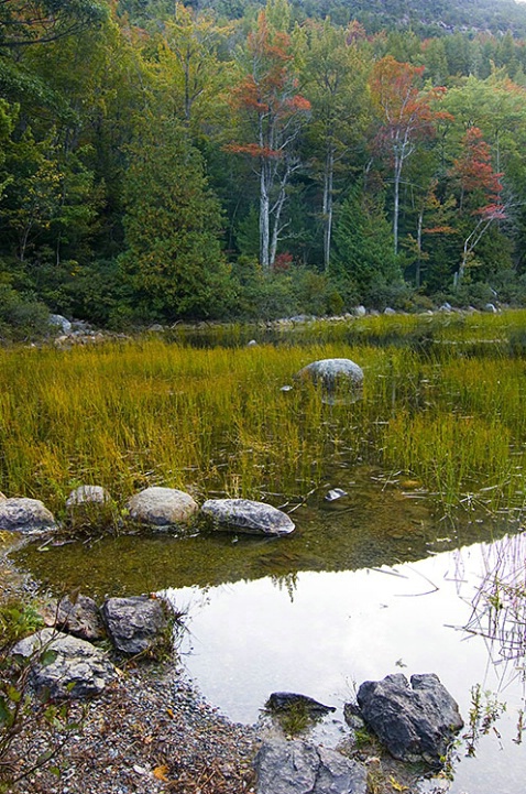 Traces of Autumn - ID: 1421563 © Averie C. Giles