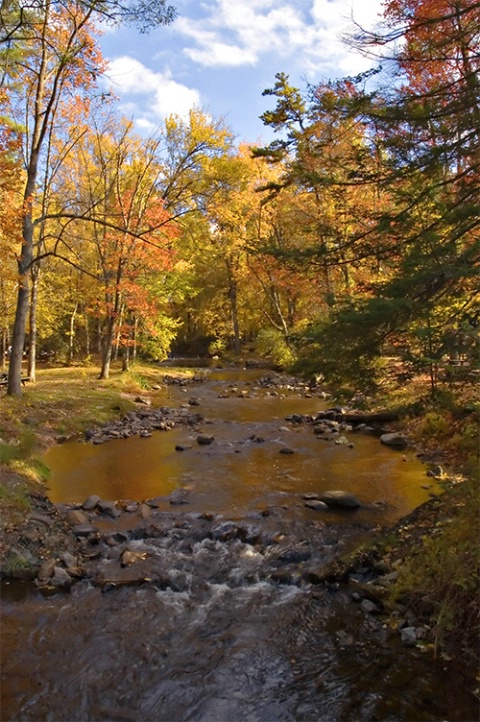 Caledonia State Park