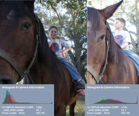 Horse & Boy Exposure Lesson