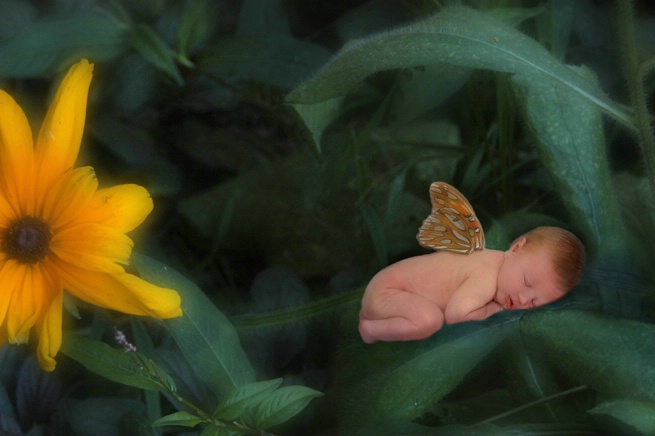 Yellow Moth Newborn