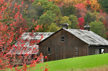 Beech Creek Farm