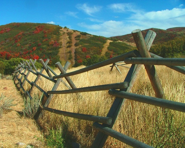 Fenced Off