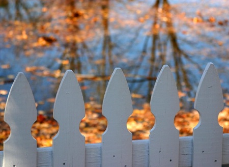 Fenced In Fall