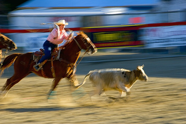 Panning Rodeo