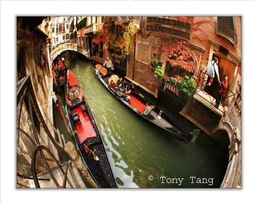  Venice - Along The Canal - ID: 1454107 © Tony Tang