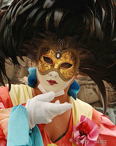 Venice  Carnival Mask - ID: 1454203 © Tony Tang