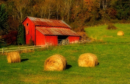 Preparing for Fall