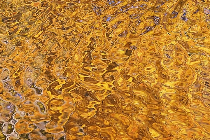 Golden Water