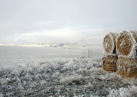 Kamloops Country