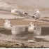 © Robert Hambley PhotoID # 1467130: Mew Gull