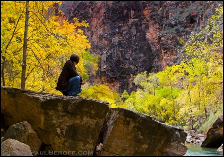 The Hiker