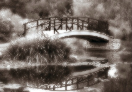 Cox Arboretum Bridge