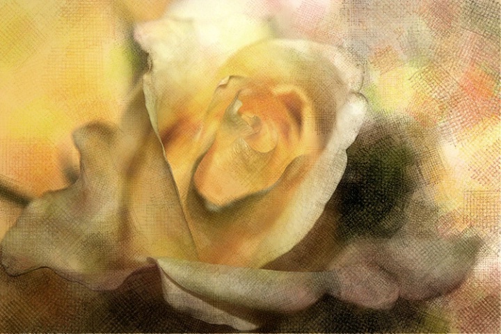 Herringbone Rose