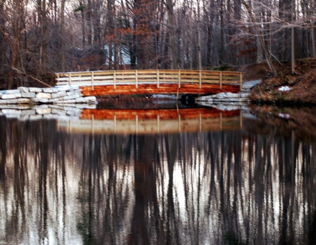 Bridge In Woods  Works