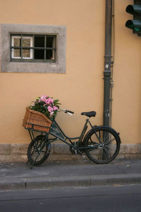 Bicycle - ID: 1481001 © Deborah A. Prior
