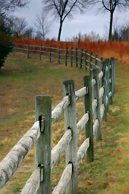 Fence Line