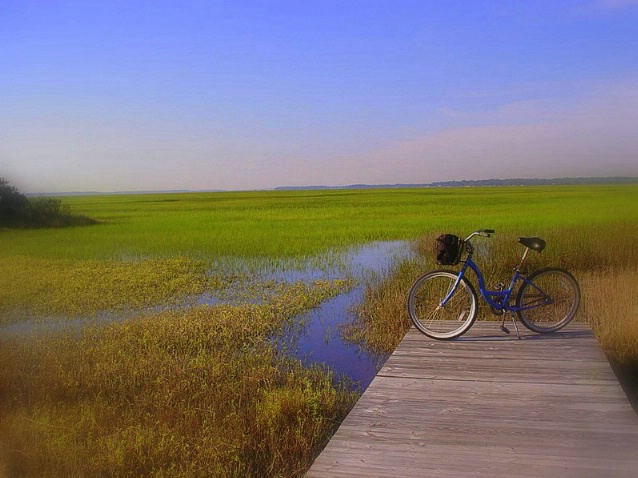 Marsh lands - ID: 1489380 © Kay McDaniel