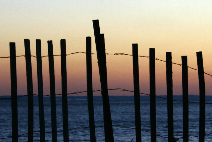 Barbed Sunset