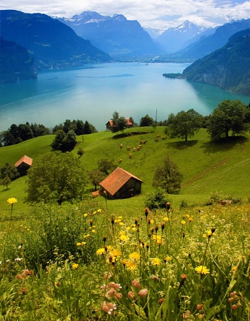 Swiss Farm, Lake Lucern