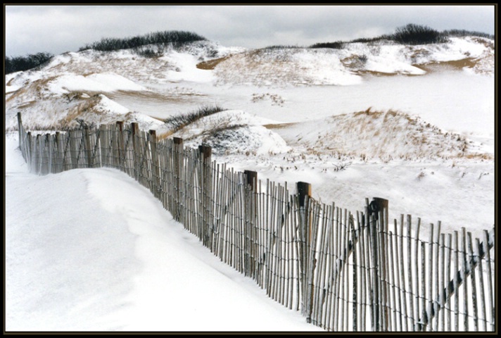 Snowy Fences