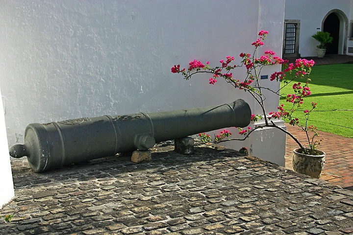 A Cannon by my Canon