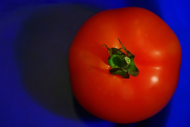 Tomato is red