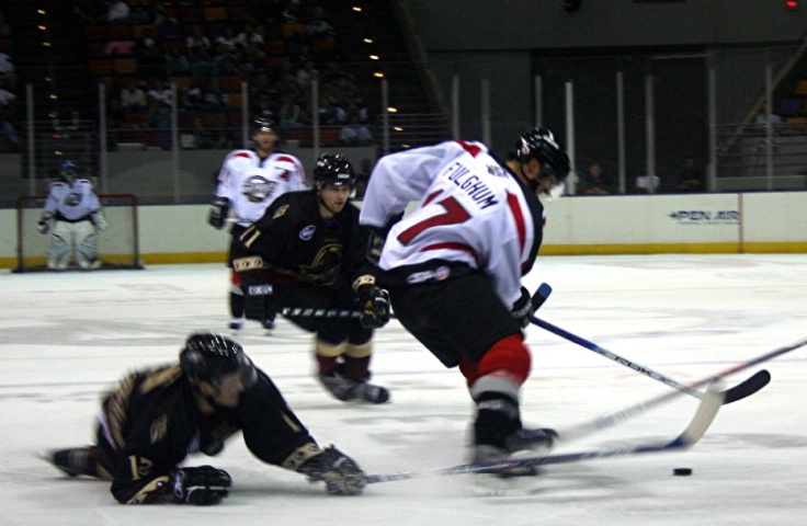 Pensacola Ice Pilots - ID: 1502770 © Lynne Hough