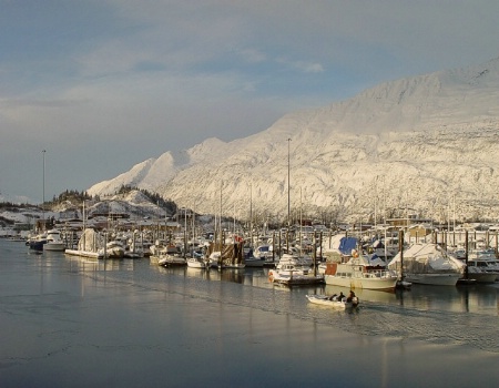 Winterized Harbor