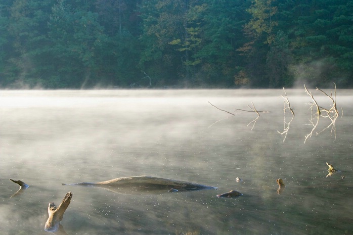 Mist on Fort Mountain Lake 10-23-05 - ID: 1508316 © Robert A. Burns