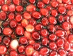 Just Cranberries