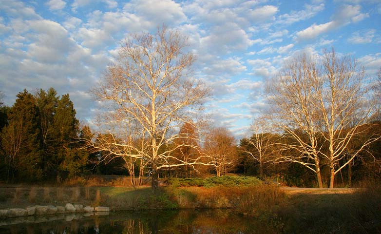 Beautiful Bernheim