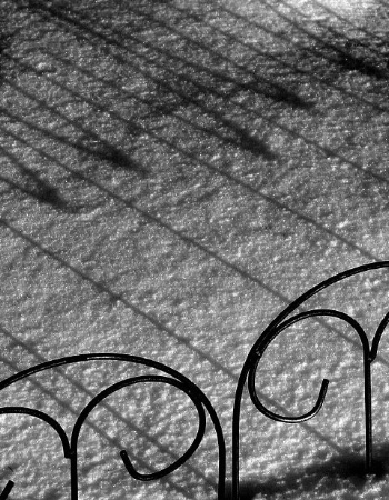 Shadows On Snow