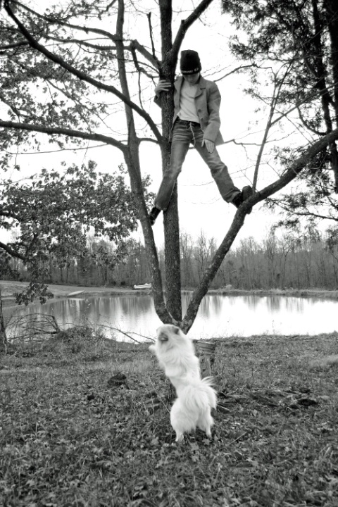 Up A Tree Without A Dog "