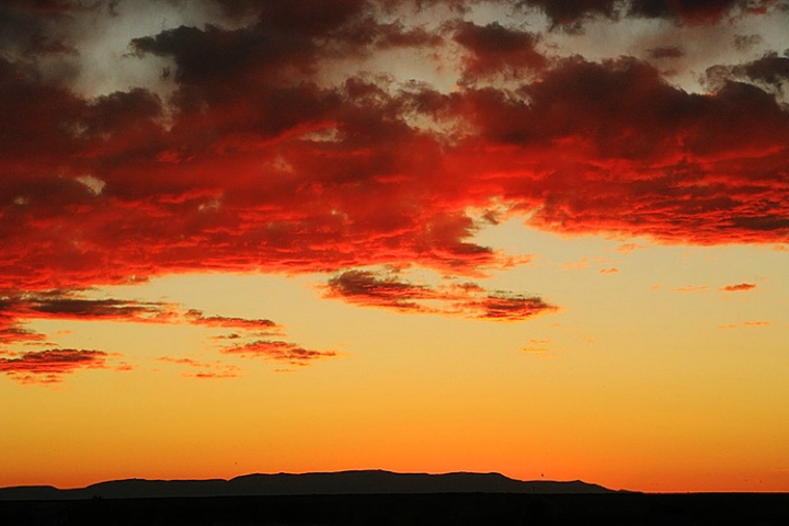 Sunrise at Bosque