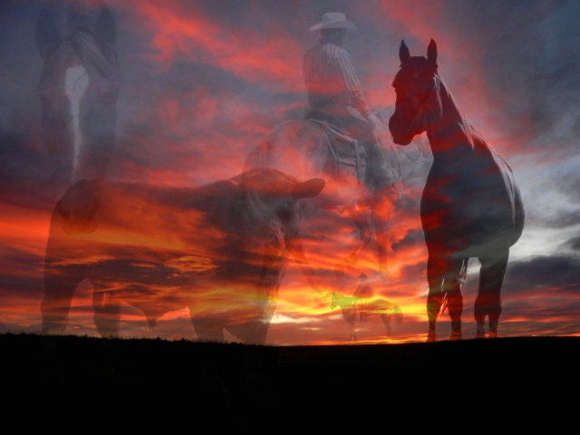 Prairie Ghosts