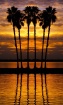 Sunset Six