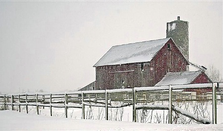 Barn in Snow