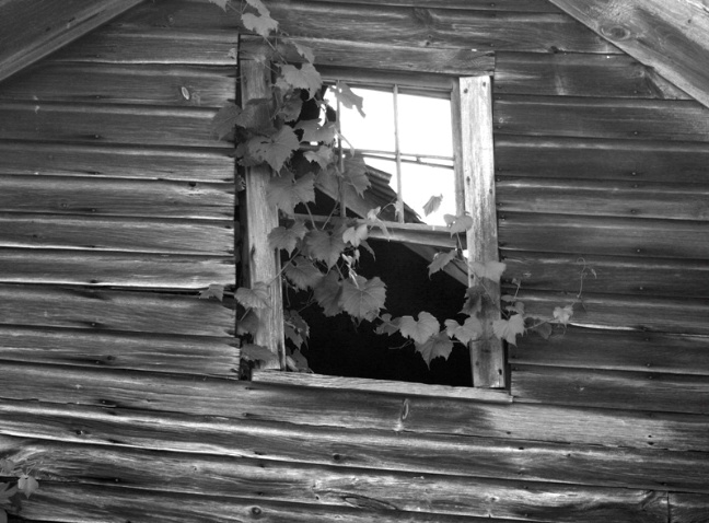 Barn window 3