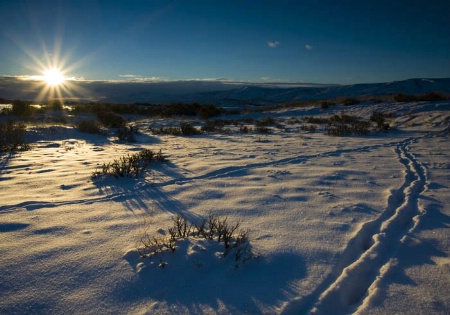 Making Tracks