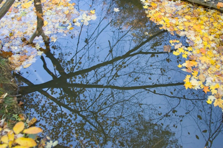 Autumn Reflections-Hiram - ID: 1544564 © James E. Nelson