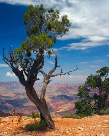 Grand Canyon National Park - Resubmit