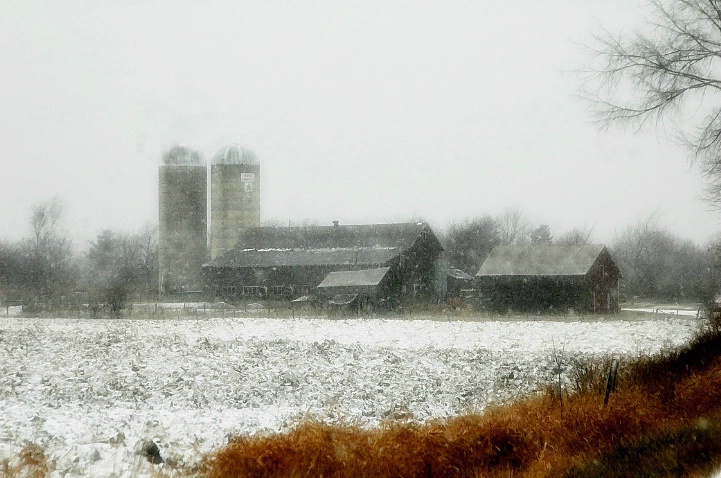 Snowy Farm in Ferrisburgh