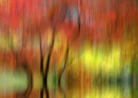 Fall Impressionism