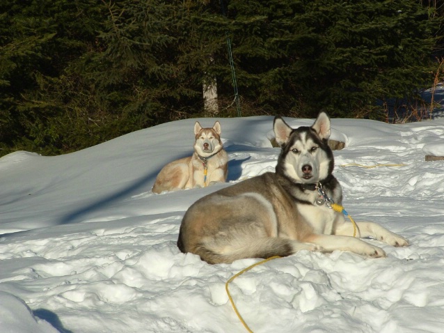 Sunbathing - ID: 1551317 © Jean-Raymond Dufresne