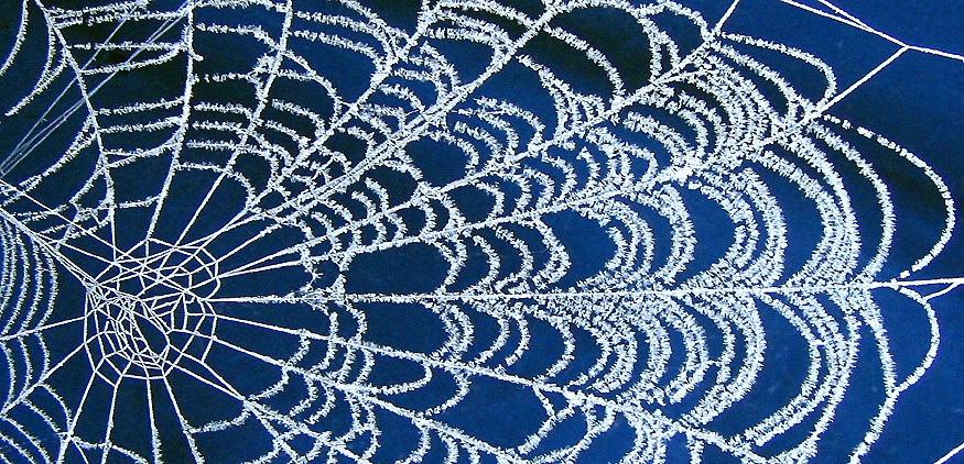 Web Frost